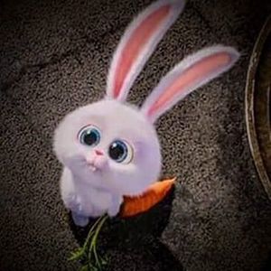 Meet your Posher, Delayne